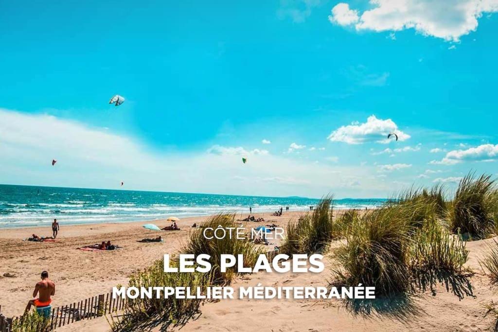 Apartment Between City Center And Beachs Montpellier Buitenkant foto